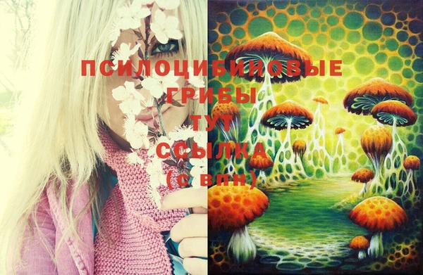 не бодяженный Кинешма