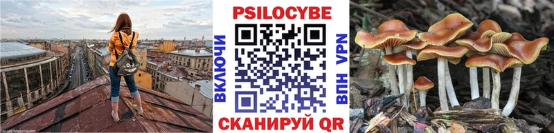 Псилоцибиновые грибы GOLDEN TEACHER  мега зеркало  Кологрив  купить наркоту 